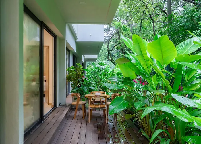 Pura Vida Peaceful At Become Nosara